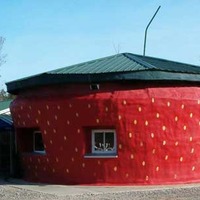World's Largest Strawberry