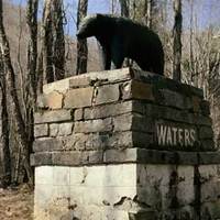Wilburn Waters Monument: Killed 120 Bears