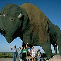 World's Largest Buffalo