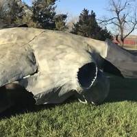 Giant Buffalo Skull