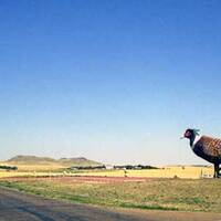Pheasants on the Prairie: Enchanted Highway