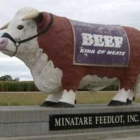 Beef, King of Meats
