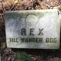 Grave of Rex the Wonder Dog