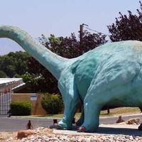 Self Storage Dinosaur