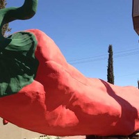 World's Largest Chile Pepper