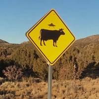 Cattle Crossing UFO Signs