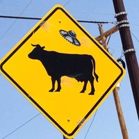 Cattle Crossing UFO Sign
