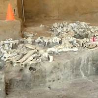 Ancient Bones Dig Site