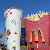 Giant French Fries and Cup