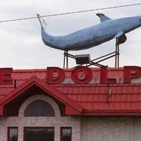 Blue Dolphin on a Diner Roof
