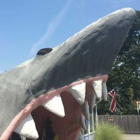Shark Mouth Seafood Store Entrance