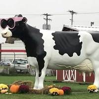 Large Cow Statue