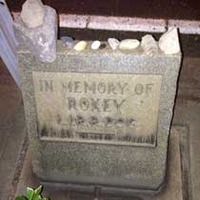 Roadside Grave of Roxey the Railroad Dog