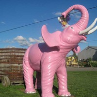 Winery Pink Elephant
