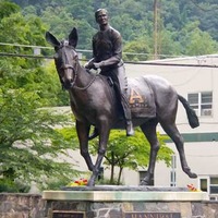 Hannibal the West Point Mule