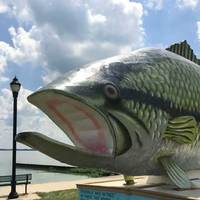 Big Bob Bass: 31-Foot-Long Fish
