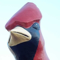 Cardinal Statue
