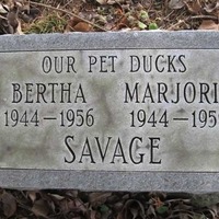 Brown Pet Cemetery: Sgt. Fleabite Smith, et al