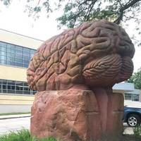 Brain Sculpture
