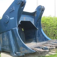 Stand in a Steam Shovel Bucket