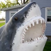 Fierce Lake Erie Shark