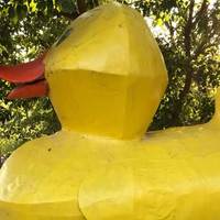 Big Yellow Ducky