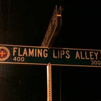Flaming Lips Alley