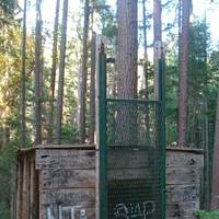 World's Only Bigfoot Trap