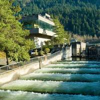 Bonneville Lock and Dam: Fish Ladders