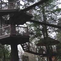 Out 'N' About Tree House Resort