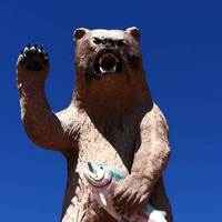Giant, Angry Bear with Fish