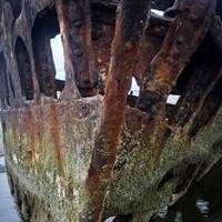 Peter Iredale, the Tourist-Friendly Shipwreck