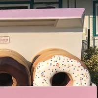 Big Box of Doughnuts