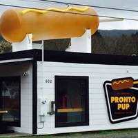 Ride the Pronto Pup, Rooftop Mega-Pup
