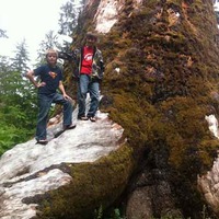 World's Largest Sitka Spruce Stump
