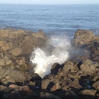 Blowholes and Whales Along 804 Trail