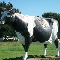 Large Cow Statue