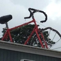 Large Bicycle