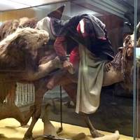 Stuffed Lion Attacks Camel and Man