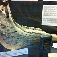 Stephen Foster's Horse Jawbone