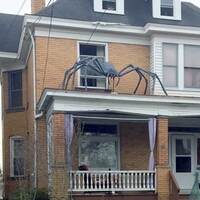 Roof Spider