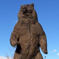 Big Kodiak Bear