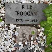 Restaurant Grave of Dog Poogan