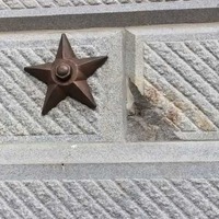 State Capitol Bronze Stars
