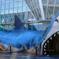 Giant Shark Store Entrance