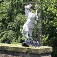 Trojan Horse Bridge Mascot