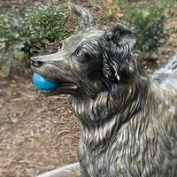 Statue of Chaser, World's Smartest Dog