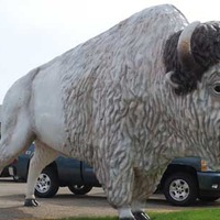 White Buffalo Statue