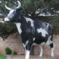 Large Cow