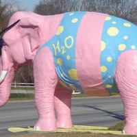 Ellie the Pink Elephant